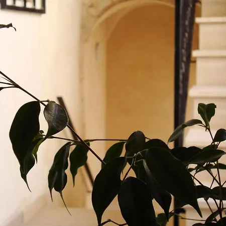 Appartement Il Rosone *